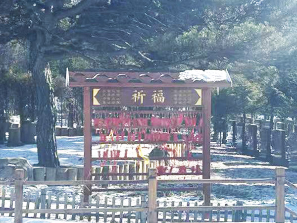 纪念林环境